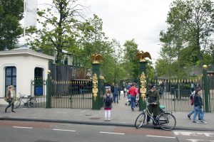 Gay Animals? They exist! Book a tour through Artis Zoo now!