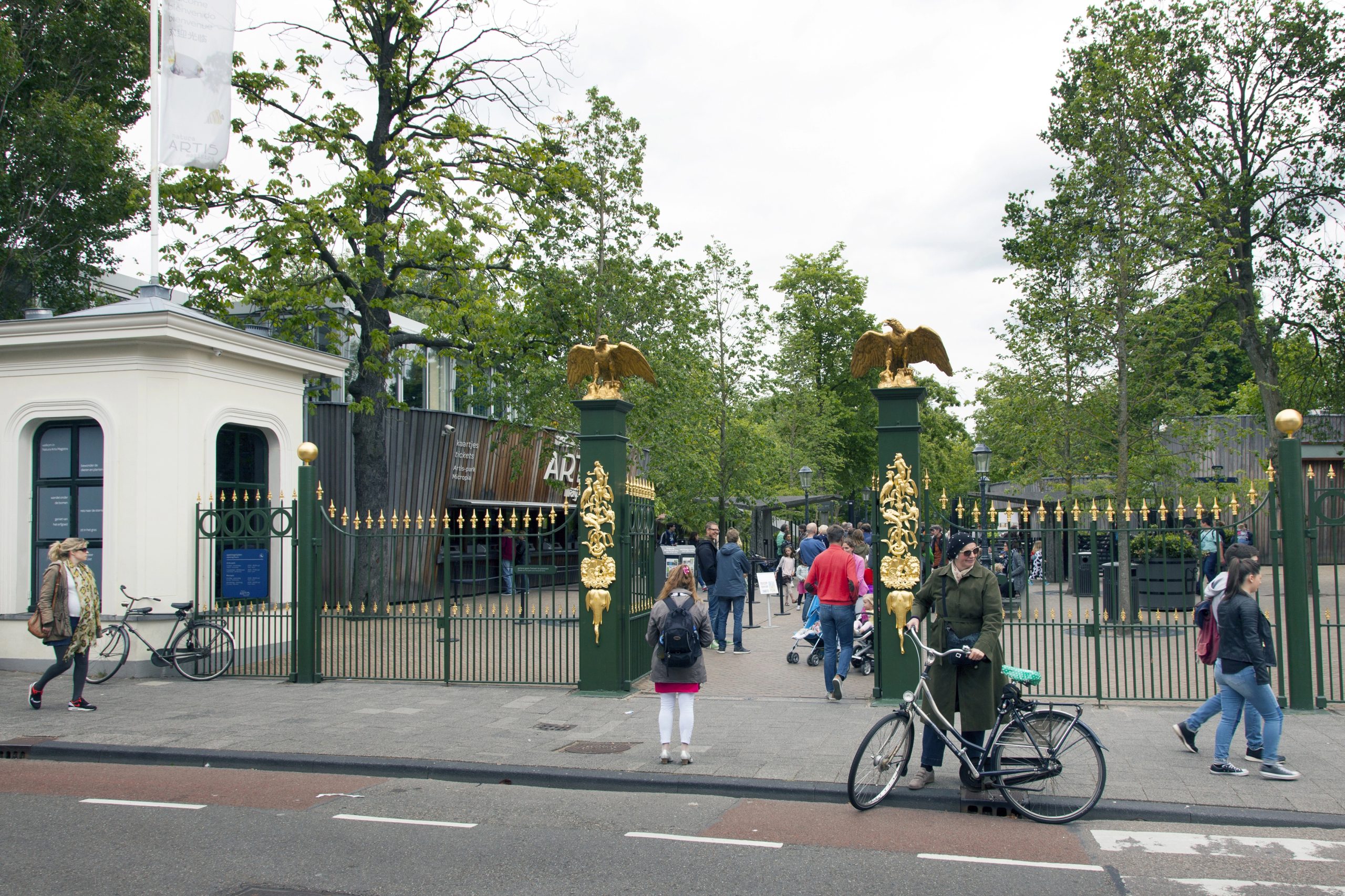 Gay Animals? They exist! Book a tour through Artis Zoo now!